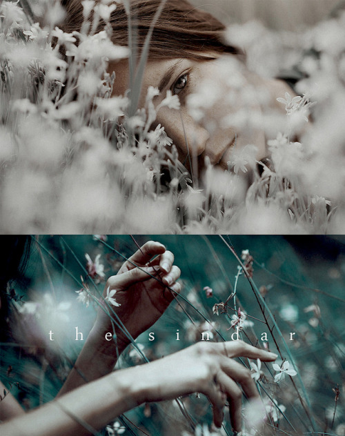 melianinarda:The Silmarillion aesthetic | t h e   s i n d a rThey are sometimes referred to as Elves