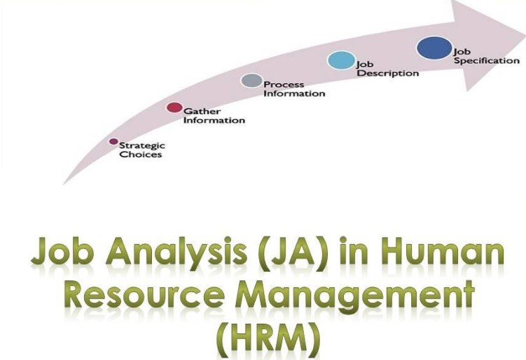 Human Resource Management Job Analysis