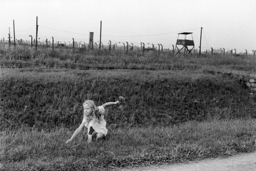 1990: Picking flowers at Auschwitz