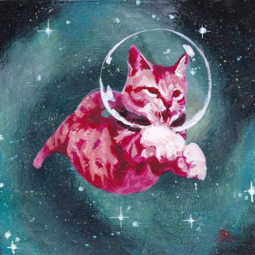 spacecats