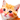 Orange Cats