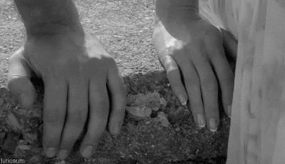 2dee75d2a44a38a16cfde6c847f4001b0dc05a9d.gifv
