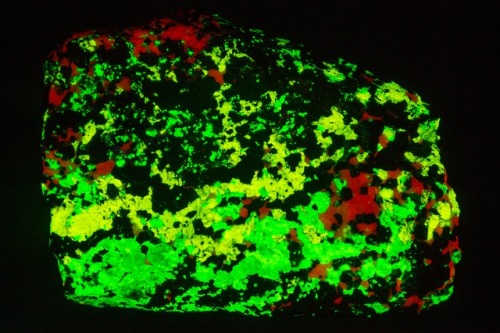 Esperite (yellow), willemite (green) and calcite (red) from Franklin, New Jersey shown under short w