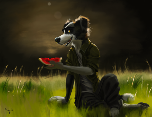 Melon Collie