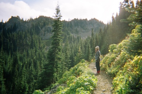 In Awe of greenness