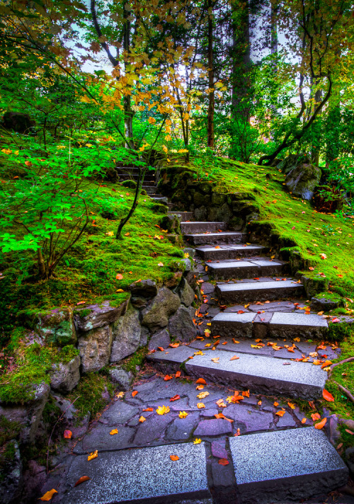 coiour-my-world:Portland, stairs of Lothlorien by alierturk