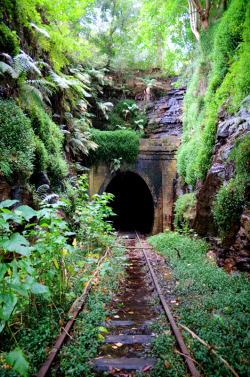 destroyed-and-abandoned:  Abandoned railway