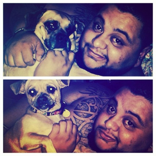 #picstitch my children #Puggle #chug