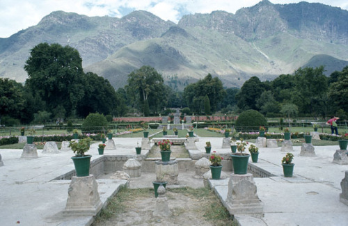 indophilia: Nishat Gardens in Kashmir are currently being restored. One of the best and most beautif