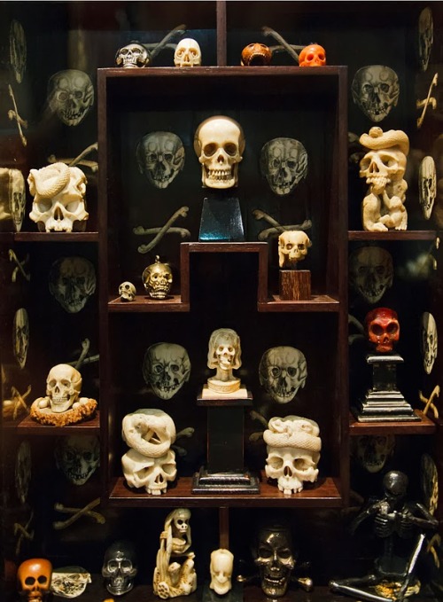 The Wunderkammer Olbricht, curated by Georg Laue, Me Collectors Room, Berlin, 2010. Via Morbid Anato