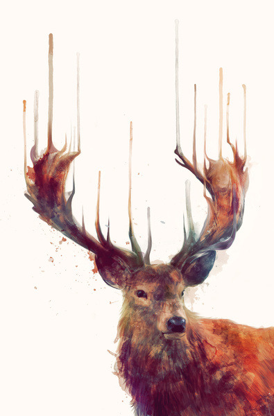 lohrien:  Illustrations by Amy Hamilton
