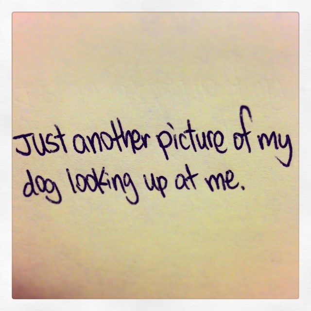 nevver:  Satiregram 