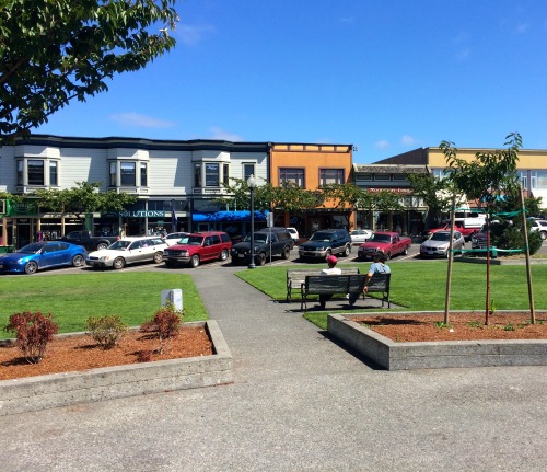 Plaza, Arcata California, Summer 2014.