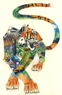 urhajos:  ‘Tiger In The Jungle’ by Daniel Mackie