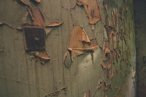 Sex Abandoned House pictures