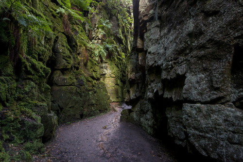 Luds Church, Gradbach, Staffordshire by Andrew Kearton calendars | prints | gettyimages | alamy