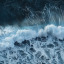 honeyed-sea