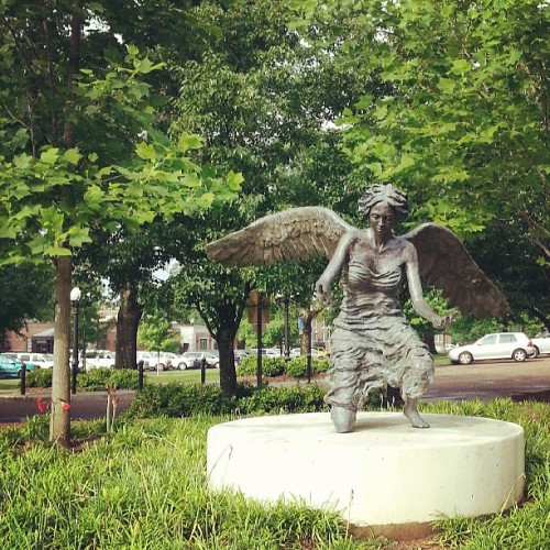#fmsphotoaday I Want...a Little Peace And Focus.