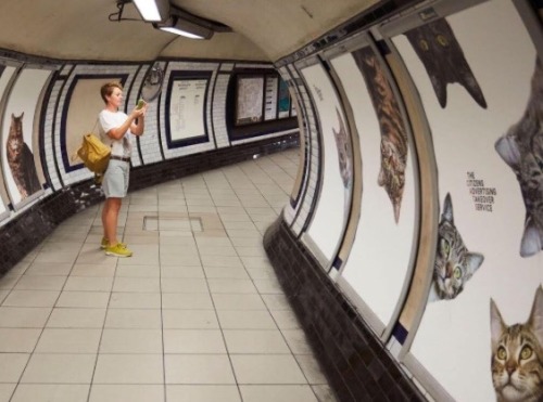 adayinthelesbianlife: A group of cat-lovers has redecorated an entire south London Tube station by r