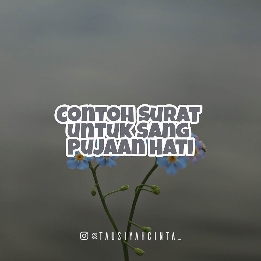 Tausiyah Cinta Contoh Surat Untuk Sang Pujaan Hati Kepada Yang