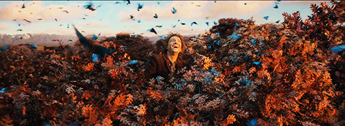 pondel:  The Hobbit - Desolation of Smaug (2013)