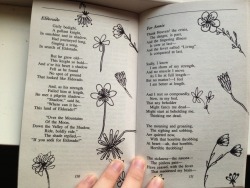 oceanflowerbird:   My doodles in the complete poetry of Edgar Allan Poe 