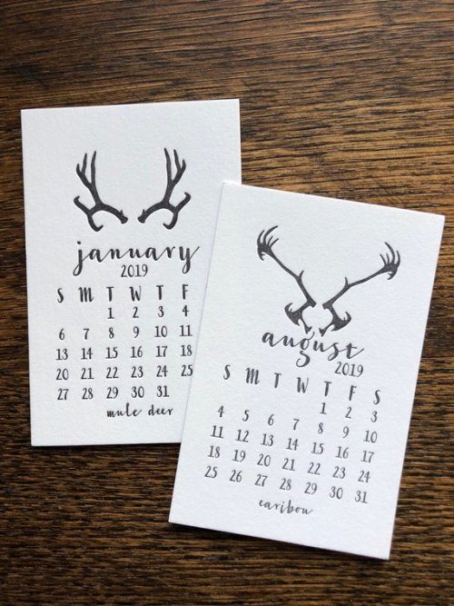 2019 Letterpress Desk Calendar //PaintedPonyPress