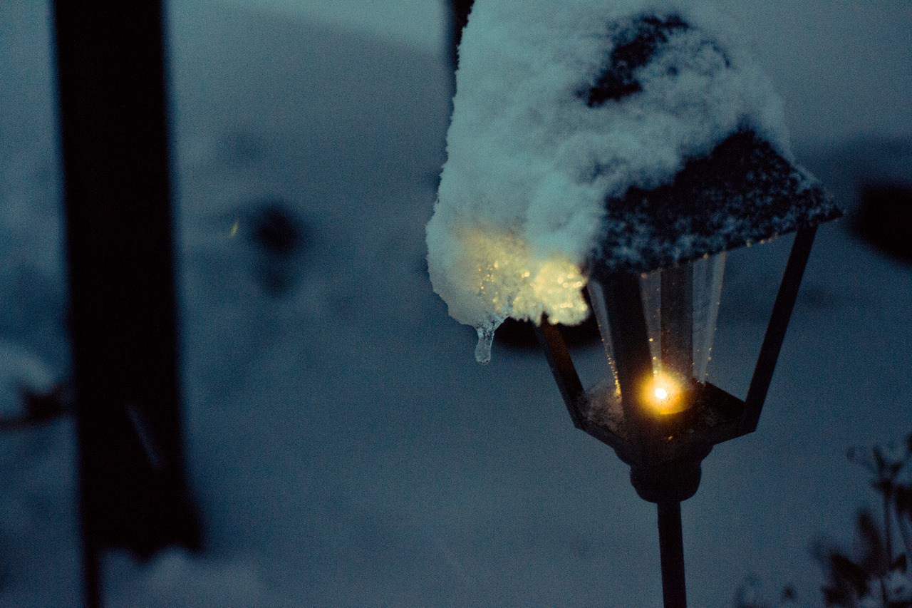 Tumblr Photo