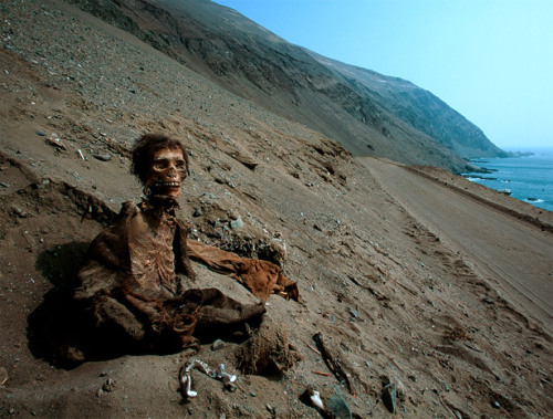 sixpenceee:7,000-year-old Chinchorro mummiesThe Chinchorro mummies of Chile survived more than 7,065