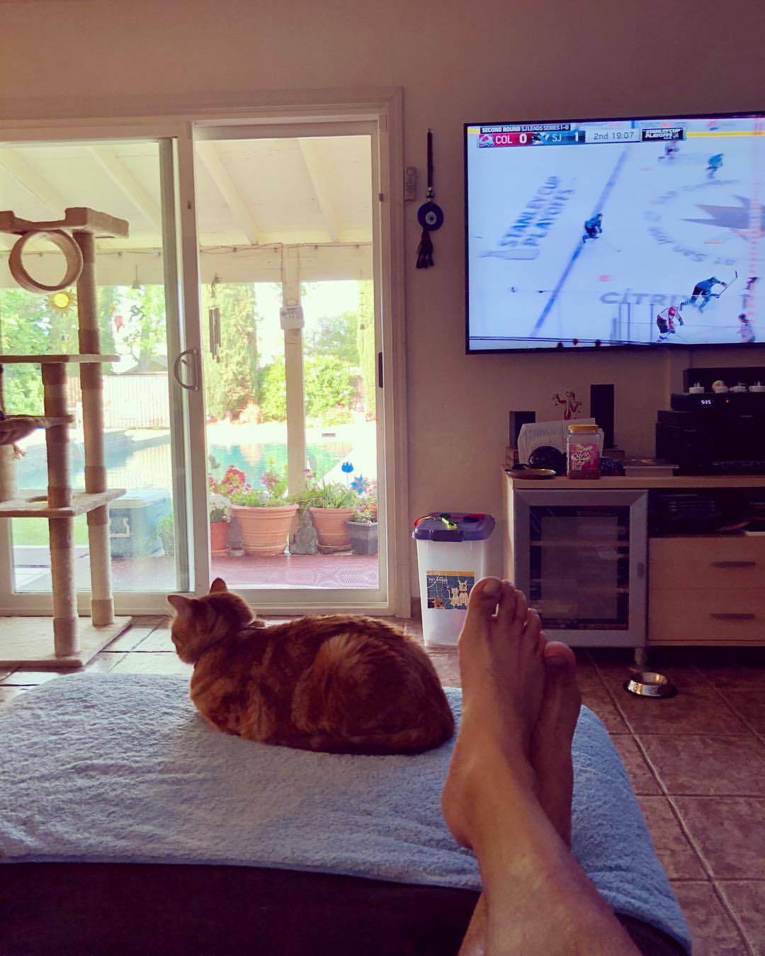 Sunday mood. #GOT #DUBS #SHARKS #SOBISSY #tomorrowismonday  (at Othman Manor) https://www.instagram.com/p/Bw0t74En4be/?utm_source=ig_tumblr_share&amp;igshid=1y0h4x8ew0w2b