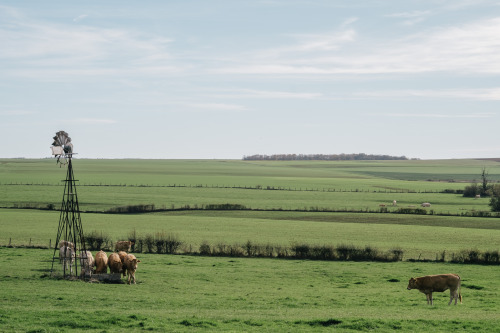 Lignières, France.11/2015