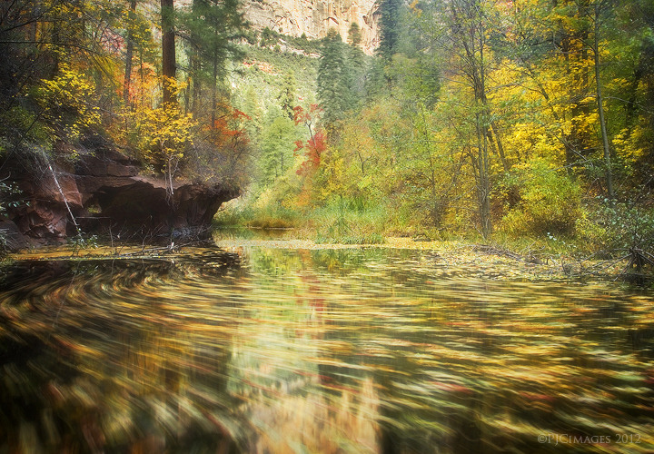 dailyautumn:  Parade of Autumn by ~PeterJCoskun