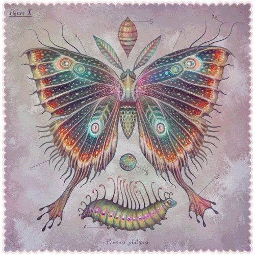 itscolossal:Fluttering Moths Radiate Whimsy in Twinkling Gifs by Vlad Stankovic