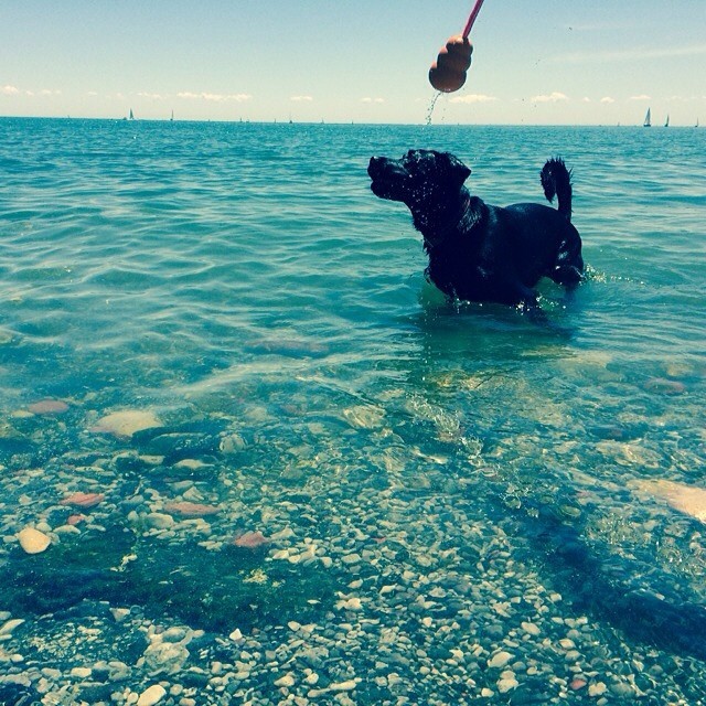 New water toy. (at Humber Bay Park West)