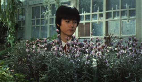 365filmsbyauroranocte:    The Little Girl