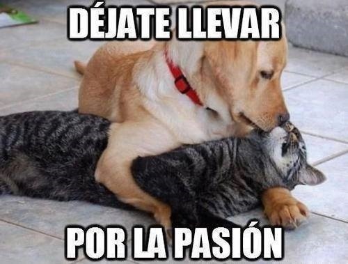 futubandera:  el amor llega a futubandera <3
