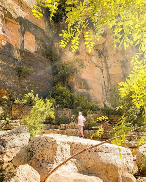 Nature in el Pinetell (Camp de Tarragona, Catalonia).Photos by livetgn on instagram.