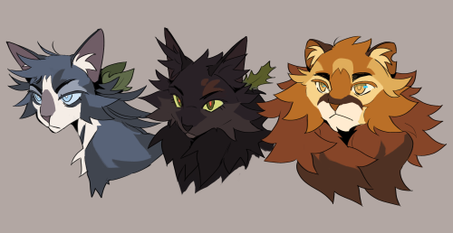 ID: a digital drawing of head/bust shots of Jayfeather, Hollyleaf, and Lionblaze in that order. They are all looking off to the side with serious expressions. Jayfeather has medium spiky fur. He has mostly dark blue tabby fur with white on his muzzle area and chest and a cool brown on his nose. He has leaves behind his ears and light blue eyes. Hollyleaf has long warm-black spiky fur and a spot of russet brown above her eyebrow. She has long pointy ears with tall ear fluff and a single holly leaf behind her ear. She has green eyes with red pupils. Lionblaze is large and fluffy with a golden tabby face and russet brown mane. He has a white muzzle surrounded by a dark brown marking. He has small round ears with a nick in his left ear and warm green, almost yellow, eyes. End ID