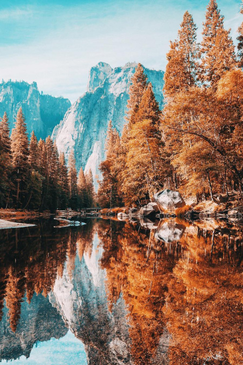 banshy: Yosemite National Park by: Craig Howes