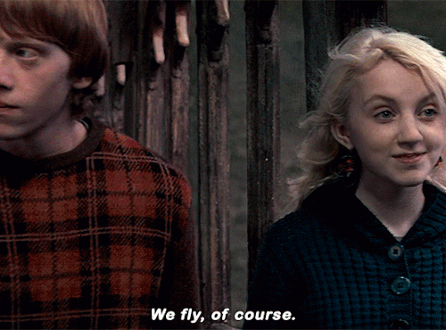 hpladiesdaily:LUNA LOVEGOOD in HARRY POTTER AND THE ORDER OF THE PHOENIX (2007)