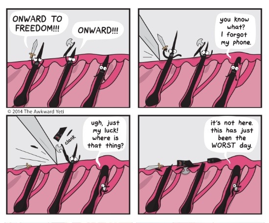 misstinyterror:  bestof-society6:    ART PRINTS BY AWKWARDYETI    Fiscal Responsibility 