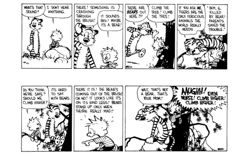 Calvin and Hobbes wreck the family car, Part 3. (Part 1, Part 2.)