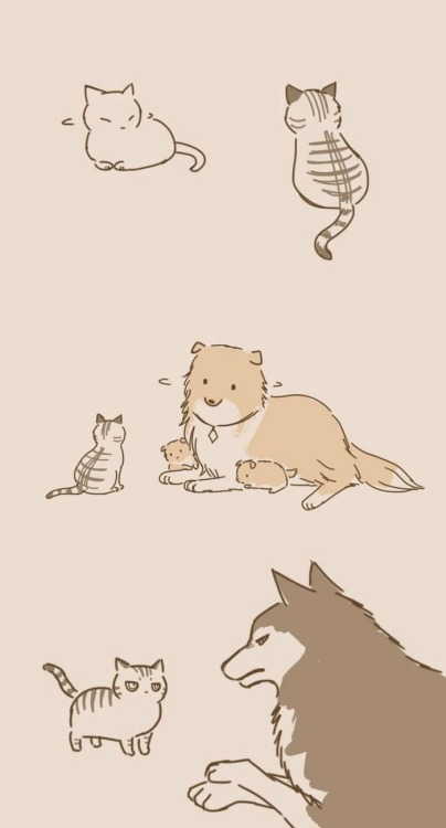 noisy–brain: pr1nceshawn: Dogs And Cats  by Lynol  .  This was so cute wtf 