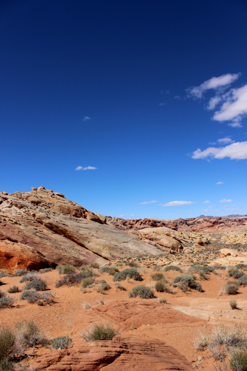 The Valley Of Fire, NV