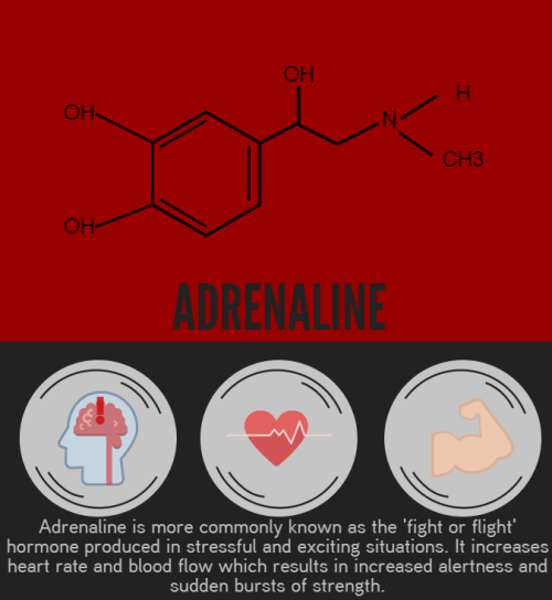 tobeagenius:We have a lot to owe to neurotransmitters, they are the driving force behind every chemi