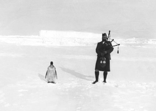 Gilbert Kerr, bagpiper, with penguin, 1903. Photographed by William Speirs Bruce during the Scottish