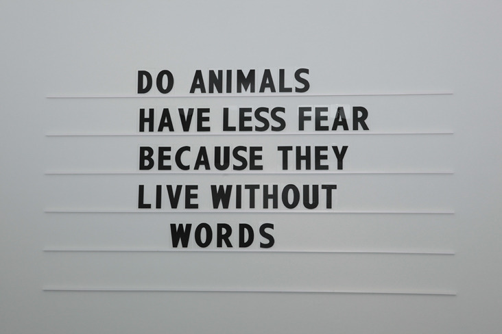childmagazine:  “do animals have less fear because they live without words”Elias