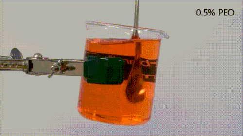 A viscoelastic fluid can pour itself, known as the oprn channel siphon effect
