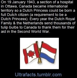 ultrafacts:vancity604778kid:ultrafacts:Ottawa,