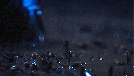 greydaysclear:music videos [the aesthetics]: out of the woods